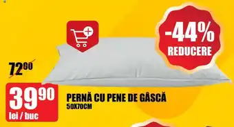 Auchan PERNĂ CU PENE DE GÅSCĂ 50X70CM Ofertă
