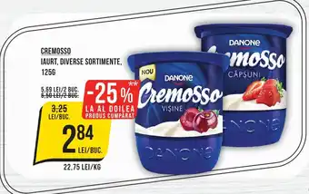 Mega Image CREMOSSO IAURT, DIVERSE SORTIMENTE, 125G Ofertă