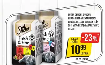Mega Image SHEBA DELICES DU JOUR HRANĂ UMEDĂ PENTRU PISICI ADULTE, SELECȚII SUCULENTE ÎN SOS, VITĂ/PEŞTE/PASĂRE/MIXT Ofertă