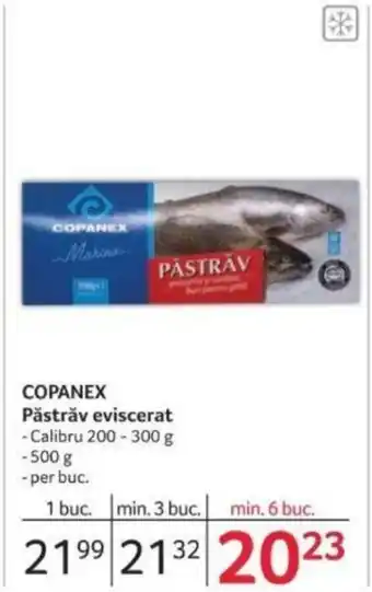 Selgros COPANEX Păstrǎv eviscerat Ofertă