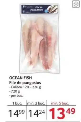 OCEAN FISH File de pangasius