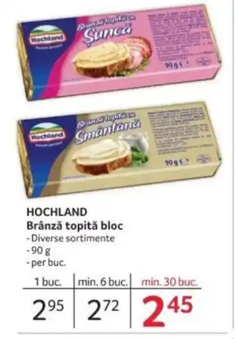 Selgros HOCHLAND Brânză topită bloc Ofertă