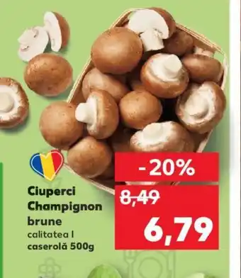 Kaufland Ciuperci Champignon brune Ofertă