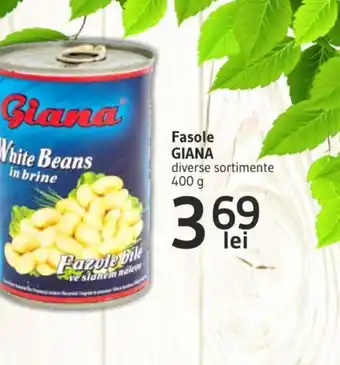 Supeco Fasole GIANA Ofertă