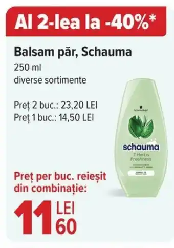 Carrefour Balsam păr, Schauma Ofertă