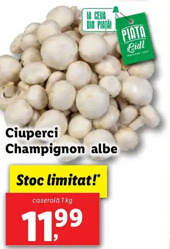 Lidl Ciuperci Champignon albe Ofertă