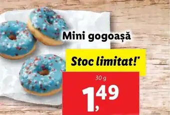 Lidl Mini gogoaşă Ofertă