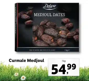 Curmale Medjoul