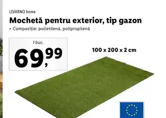 Lidl LIVARNO home Mochetă pentru exterior, tip gazon Ofertă