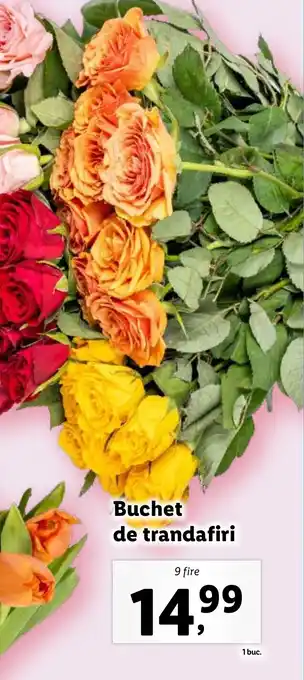 Lidl Buchet de trandafiri Ofertă
