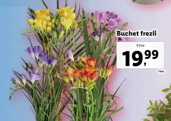 Lidl Buchet frezii Ofertă