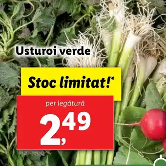 Usturoi verde