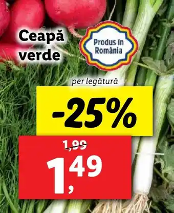 Lidl Ceapă verde Ofertă