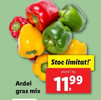 Lidl Ardei gras mix Ofertă