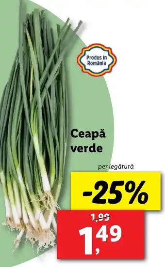 Lidl Ceapă verde Ofertă