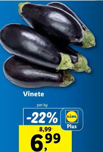 Lidl Vinete Ofertă