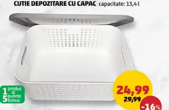 Penny CUTIE DEPOZITARE CU CAPAC Ofertă