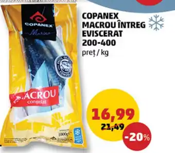 Penny COPANEX MACROU ÎNTREG EVISCERAT 200-400 Ofertă