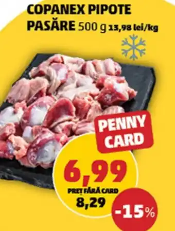 COPANEX PIPOTE PASĂRE