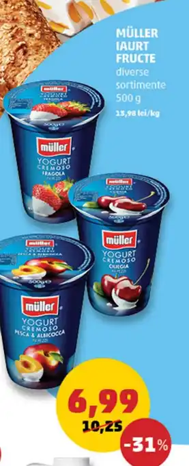 Penny MÜLLER IAURT FRUCTE Ofertă