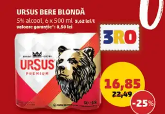Penny URSUS BERE BLONDĂ Ofertă