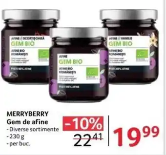 Selgros MERRYBERRY Gem de afine Ofertă