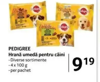 Selgros PEDIGREE Hrană umedă pentru câini Ofertă