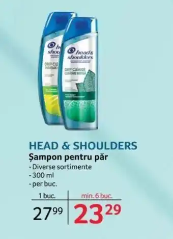 Selgros HEAD & SHOULDERS Şampon pentru păr Ofertă