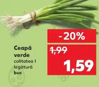 Kaufland Ceapă verde Ofertă