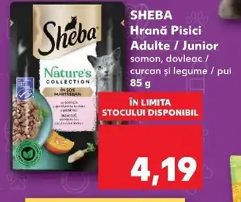 SHEBA Hrană Pisici Adulte / Junior
