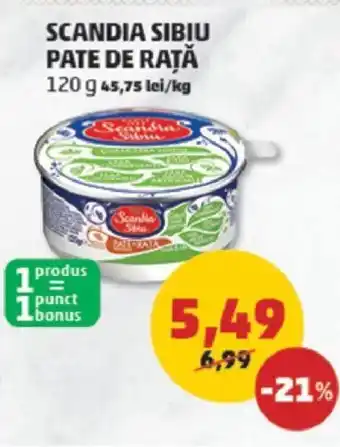 Penny SCANDIA SIBIU PATE DE RAȚĂ Ofertă