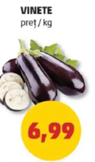 Penny VINETE Ofertă
