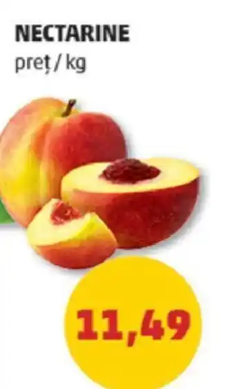 Penny NECTARINE Ofertă