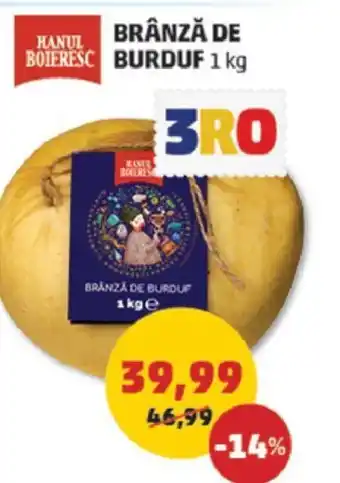Penny BRANZA DE BURDUF Ofertă