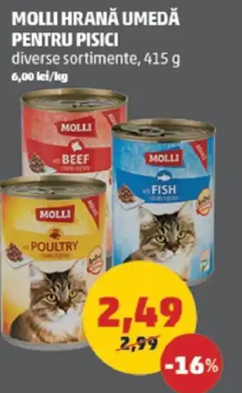 Penny MOLLI HRANĂ UMEDĂ PENTRU PISICI Ofertă