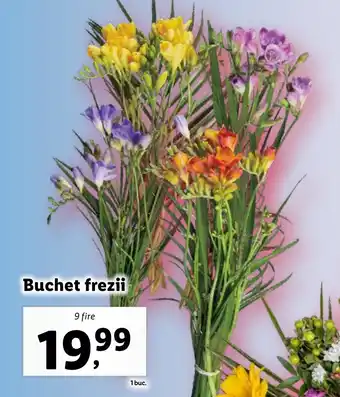Lidl Buchet frezii Ofertă
