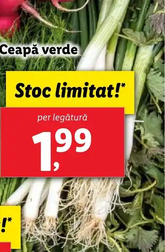 Lidl Ceapă verde Ofertă