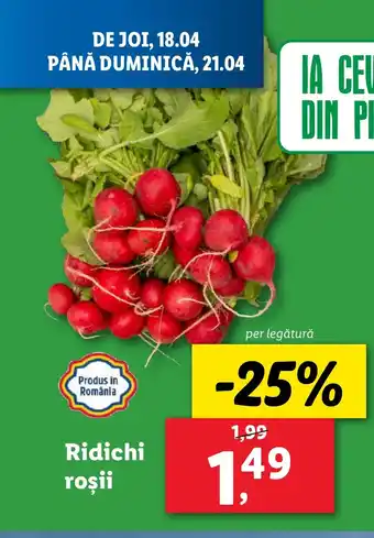 Lidl Ridichi roşii Ofertă