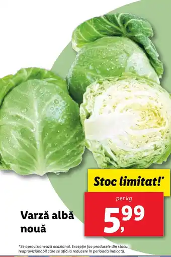 Lidl Varză albă nouă Ofertă