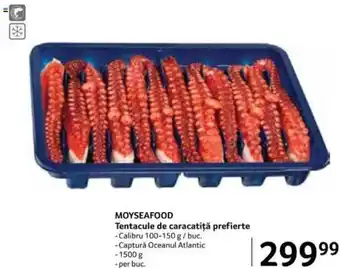 Selgros MOYSEAFOOD Tentacule de caracatiță prefierte Ofertă