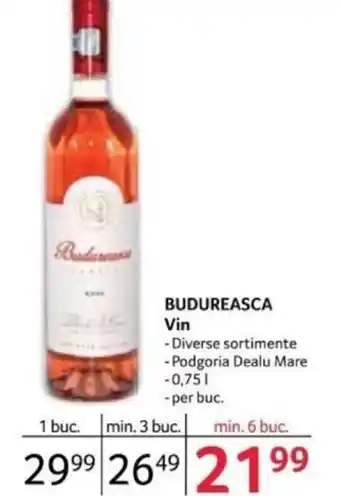 Selgros BUDUREASCA Vin Ofertă