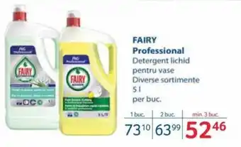 Selgros FAIRY Professional Ofertă