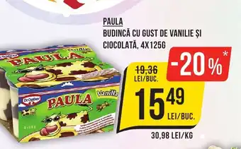 Mega Image PAULA BUDINCĂ CU GUST DE VANILIE ȘI CIOCOLATĂ, 4X125G Ofertă