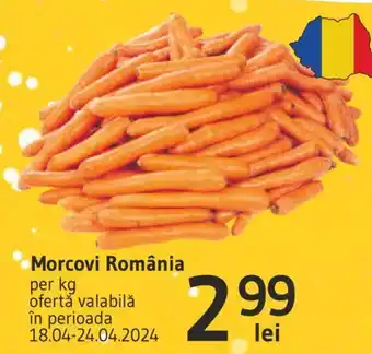 Supeco Morcovi România Ofertă