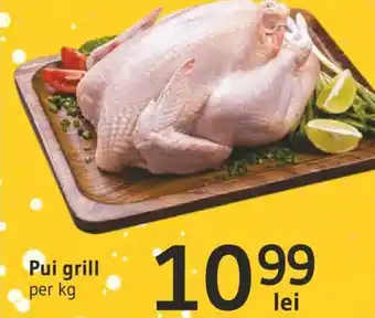 Supeco Pui grill Ofertă