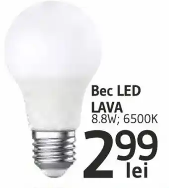 Supeco Bec LED Ofertă