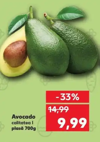 Kaufland Avocado Ofertă