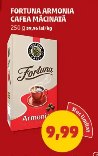 Penny FORTUNA ARMONIA CAFEA MĂCINATĂ Ofertă