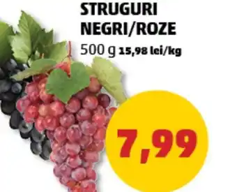 Penny STRUGURI NEGRI/ROZE Ofertă