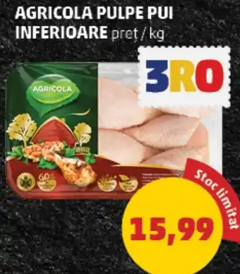 AGRICOLA PULPE PUI INFERIOARE